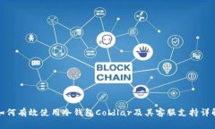 如何有效使用冷钱包Cold